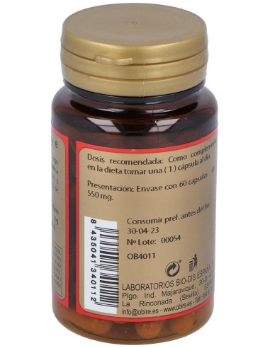 Arandano 60Cap. de Obire