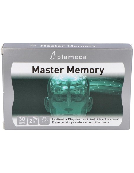 Master Memory 30Cap. de Plameca