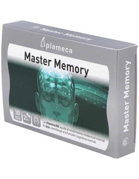 Master Memory 30Cap. de Plameca