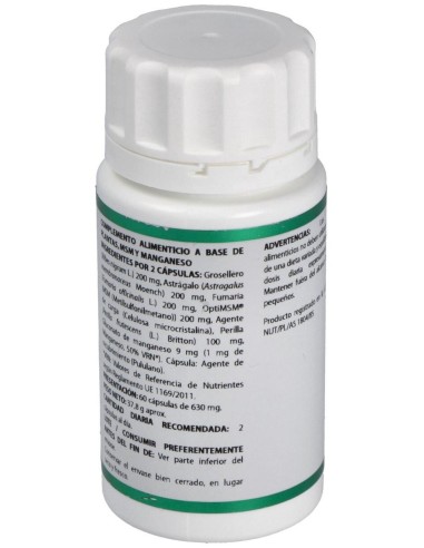 Holofit Grosellero 60Cap. de Equisalud