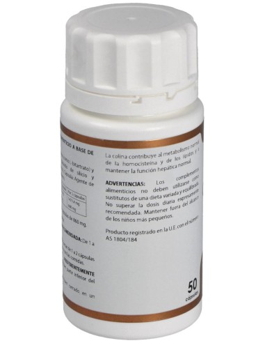 Holovit Colina 300Mg. 50Cap. de Equisalud