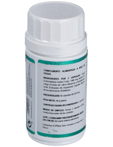 Holofit Ayurveda Guggul 50Cap. de Equisalud