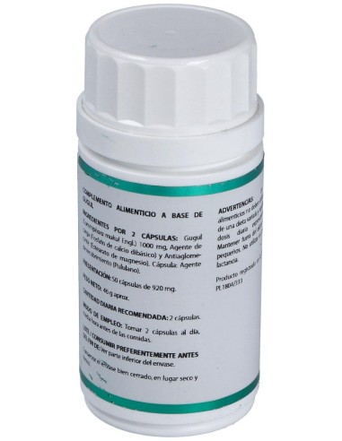 Holofit Ayurveda Guggul 50Cap. de Equisalud