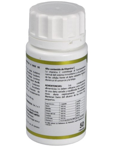 Holofungi Micelium 50Cap. de Equisalud