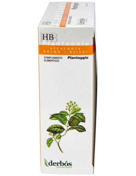 Plantaggio Hb 20Amp. de Derbos
