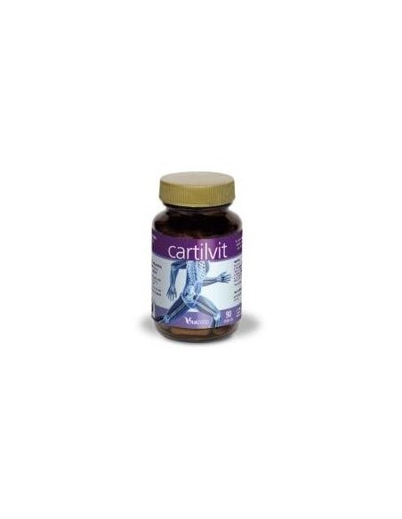 Cartilvit 90Cap. de Vital 2000