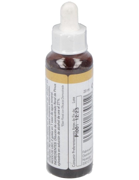 Pine 20Ml. de Elidyn