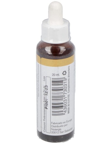 Pine 20Ml. de Elidyn