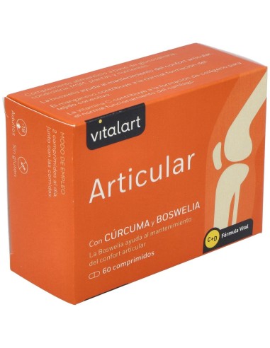 Vitalart Articular 60 Comp. de Vitalart