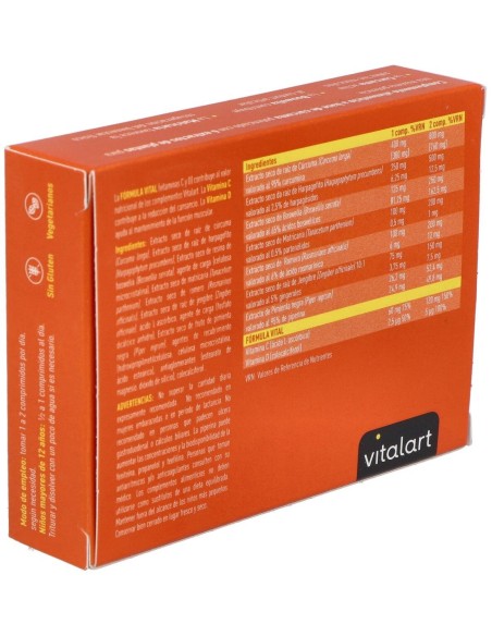 Vitalart Curcuma Complex 30 Comp de Vitalart