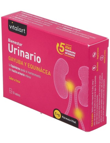 Vitalart Bienestar Urinario 10 Sobres de Vitalart