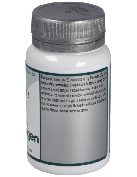 Base 2 60Comp. de Erlingen