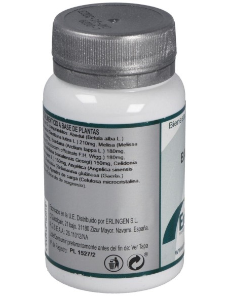 Base 2 60Comp. de Erlingen