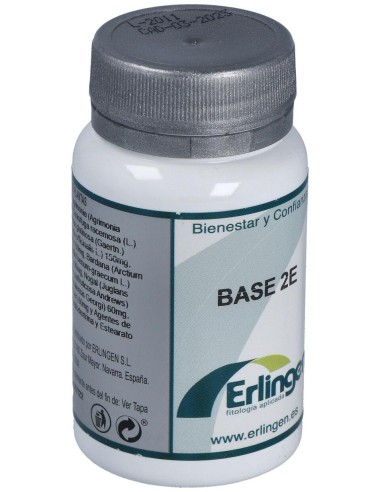 Base 2E 60Comp. de Erlingen