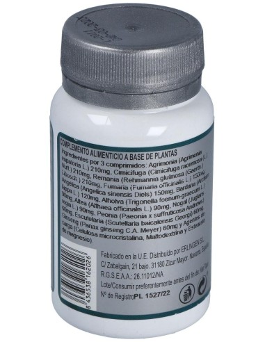 Base 2E 60Comp. de Erlingen