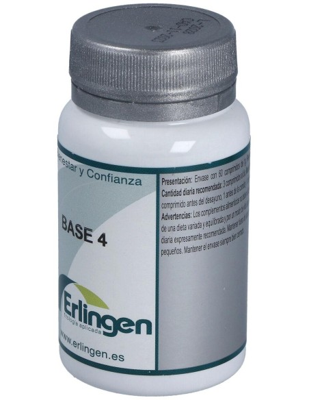 Base 4 60Comp. de Erlingen