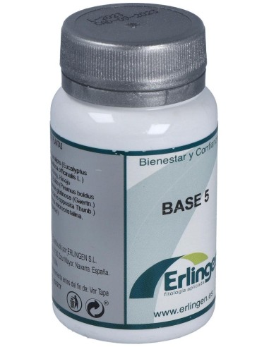 Base 5 60Comp. de Erlingen