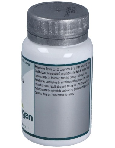 Base 5 60Comp. de Erlingen