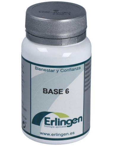 Base 6 60Comp. de Erlingen