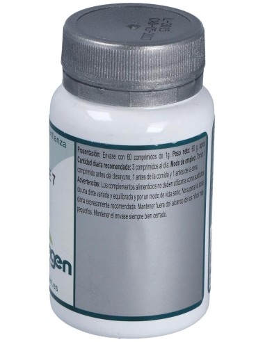 Base 7 60Comp. de Erlingen