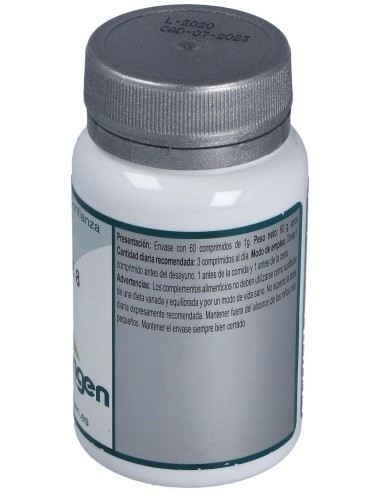 Base 8 60Comp. de Erlingen