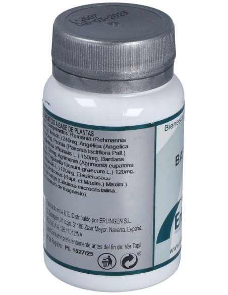 Base 9 60Comp. de Erlingen