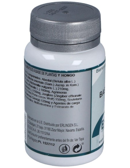 Base 10 60Comp. de Erlingen