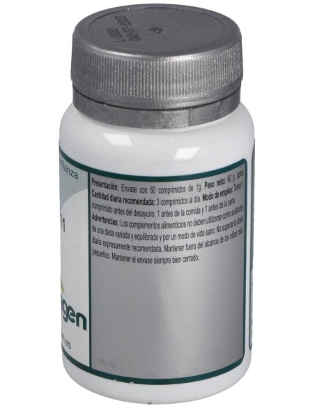 Base 11 60Comp. de Erlingen