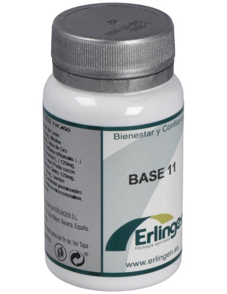 Base 11 60Comp. de Erlingen