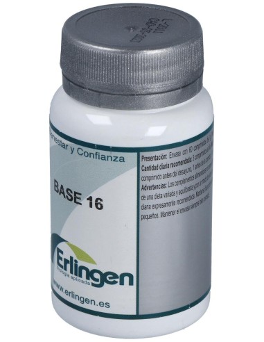 Base 16 60Comp. de Erlingen