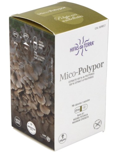 Mico Polypor (Polyporus) Hdt 70Cap. de Hifas Da Terra - Hdt