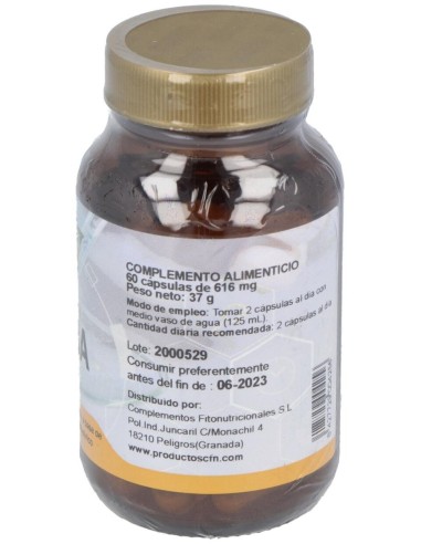 Gaba 500 Mg 60 Caps. de Cfn