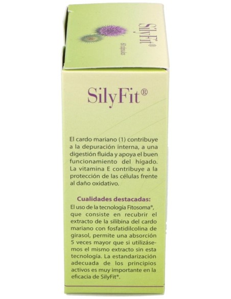 Silyfit 60Cap. de Cien Por Cien Natural