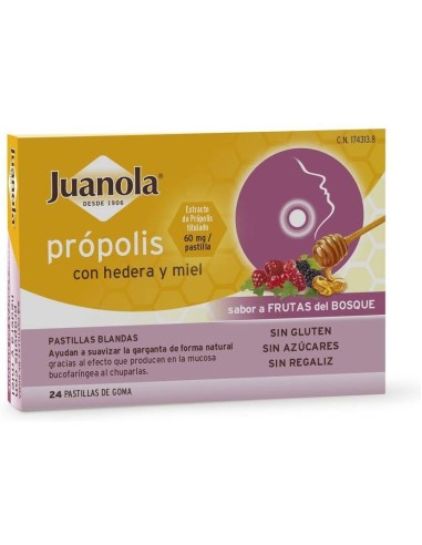 Juanola Past Propolis Hedera-Miel-Frut Bosque 24Ud de Juanola