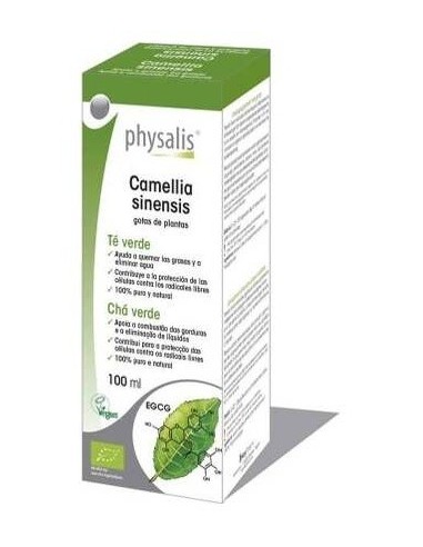 Ext. Te Verde (Camelia Sinensis) 100Ml. Bio de Physalis