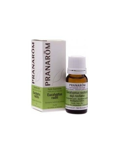 Eucalipto Radiata Hoja 10 Ml de Pranarom Aceites