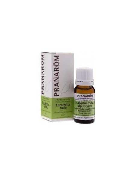 Eucalipto Radiata Hoja 10 Ml de Pranarom Aceites