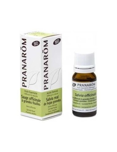 Salvia Real Hojas Grandes Aceite Esencial Bio 10Ml de Pranarom Aceites