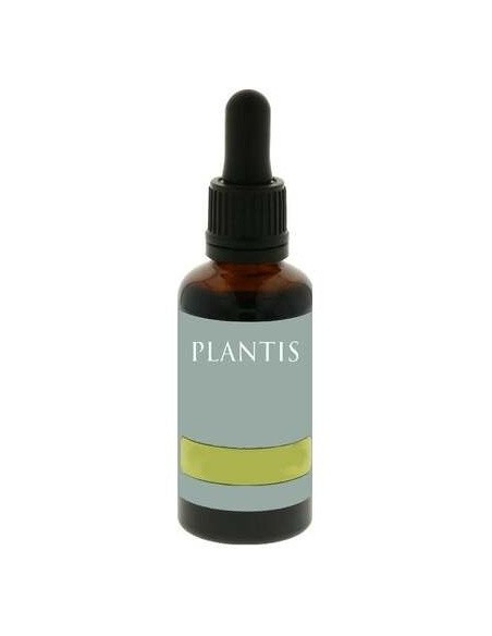 Ext.Harpagofito 50Ml Maese Herbario de Artesania