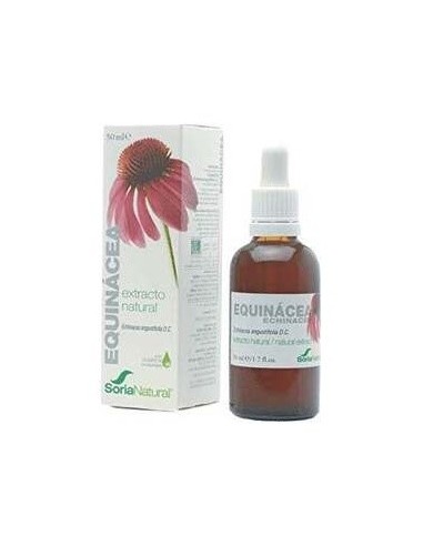 Ext. Echinacea S/Al Eco 50Ml. de Artesania