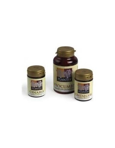 Cinaris (Alcachofa) Plantis 60Cap. de Artesania