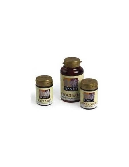 Cinaris (Alcachofa) Plantis 60Cap. de Artesania