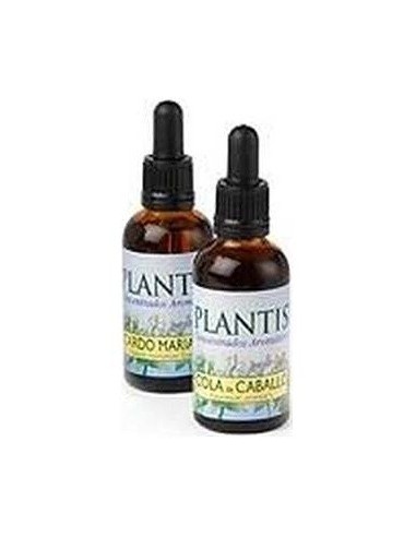 Madreselva-16 Eco Plantis 10Ml de Artesania