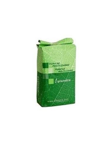 Rooibos Bolsa 100Gr. de Plameca