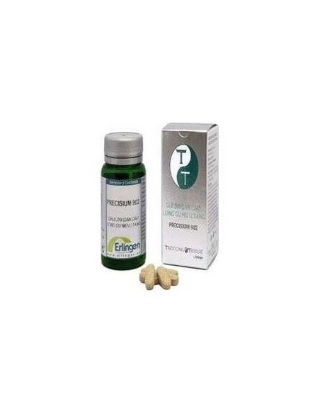 Precisium 902 Gui Zhi Gan Cao Long Gu Mu Li Tang de Erlingen