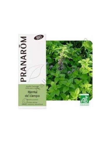 Menta Campo Aceite Esencial Alimentario Bio 10Ml. de Terpenic