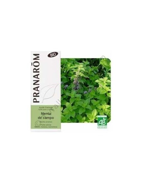 Menta Campo Aceite Esencial Alimentario Bio 10Ml. de Terpenic