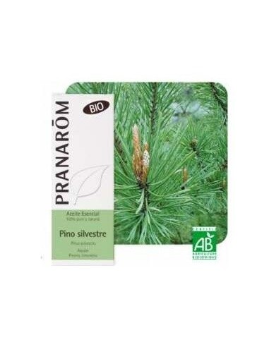 Pino Silvestre Aceite Esencial Bio 10Ml. de Terpenic