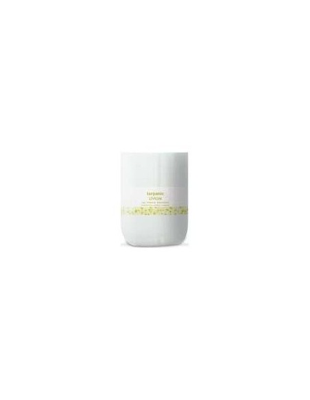 Livium Gel 1Kg. de Terpenic Evopro