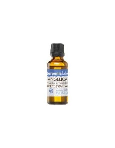 Angelica Aceite Esencial 30Ml. de Terpenic